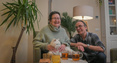 CATS AND DOGS LR 8484